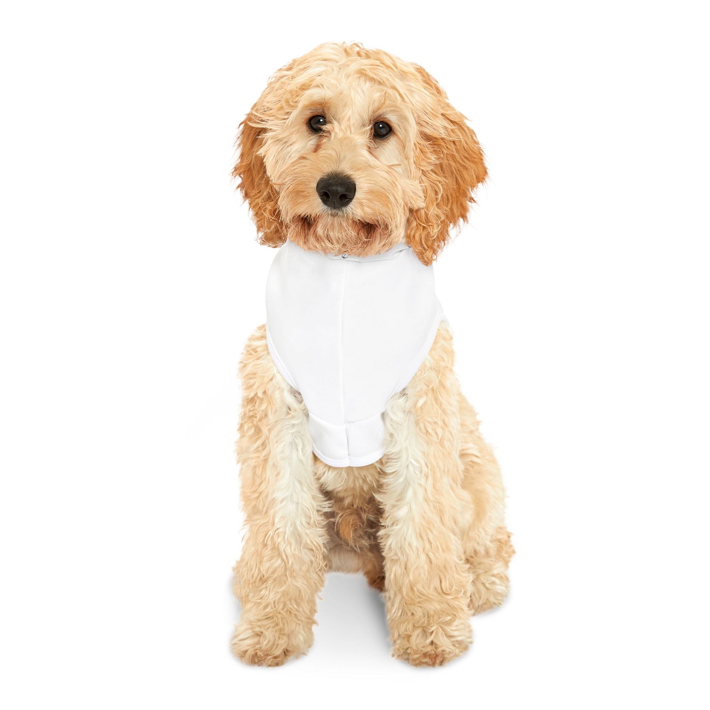 Legaci X Stylish Pet Hoodie - RUN X CLUB Design for Active Pets