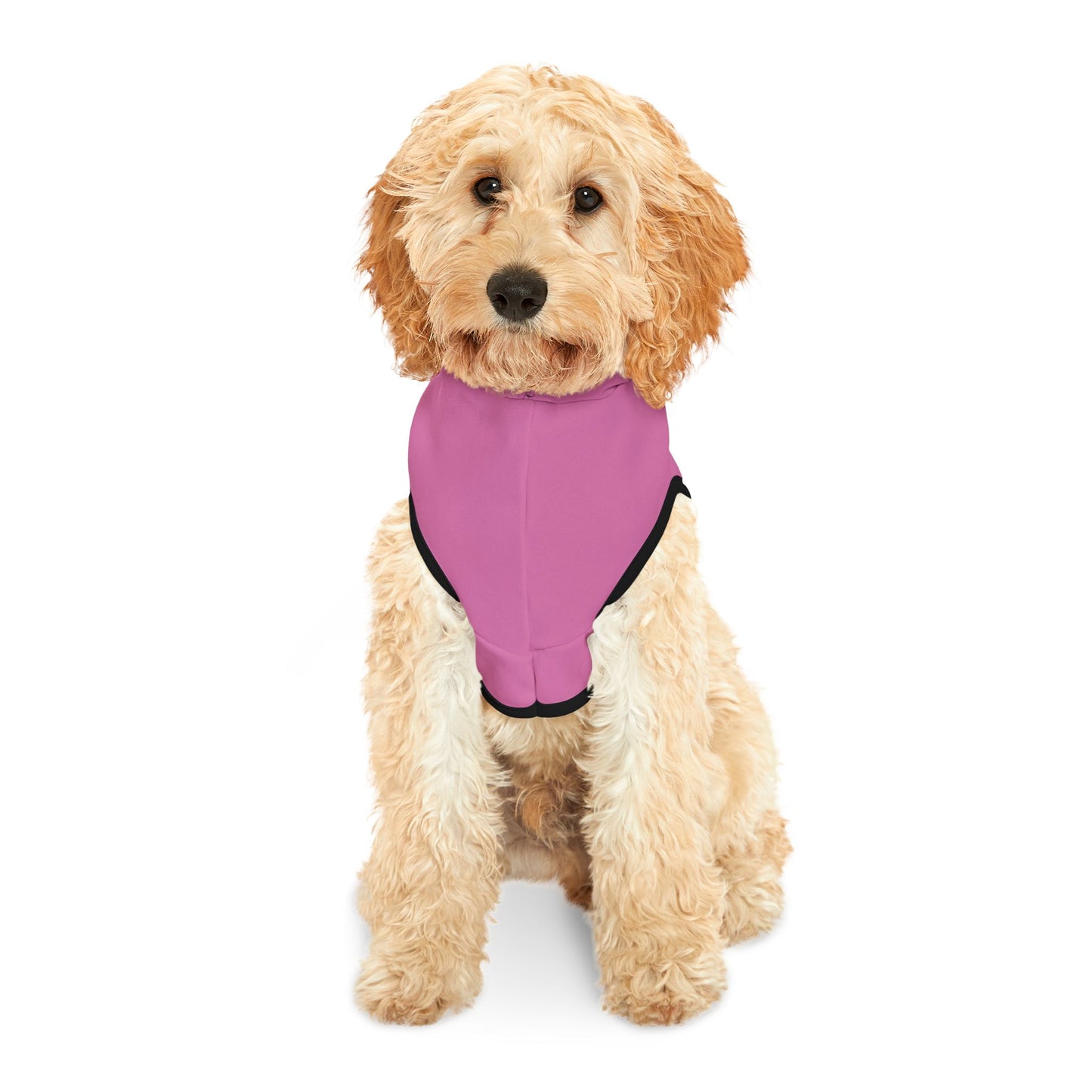 Legaci X Stylish Pet Hoodie - RUN X CLUB Design for Active Pets