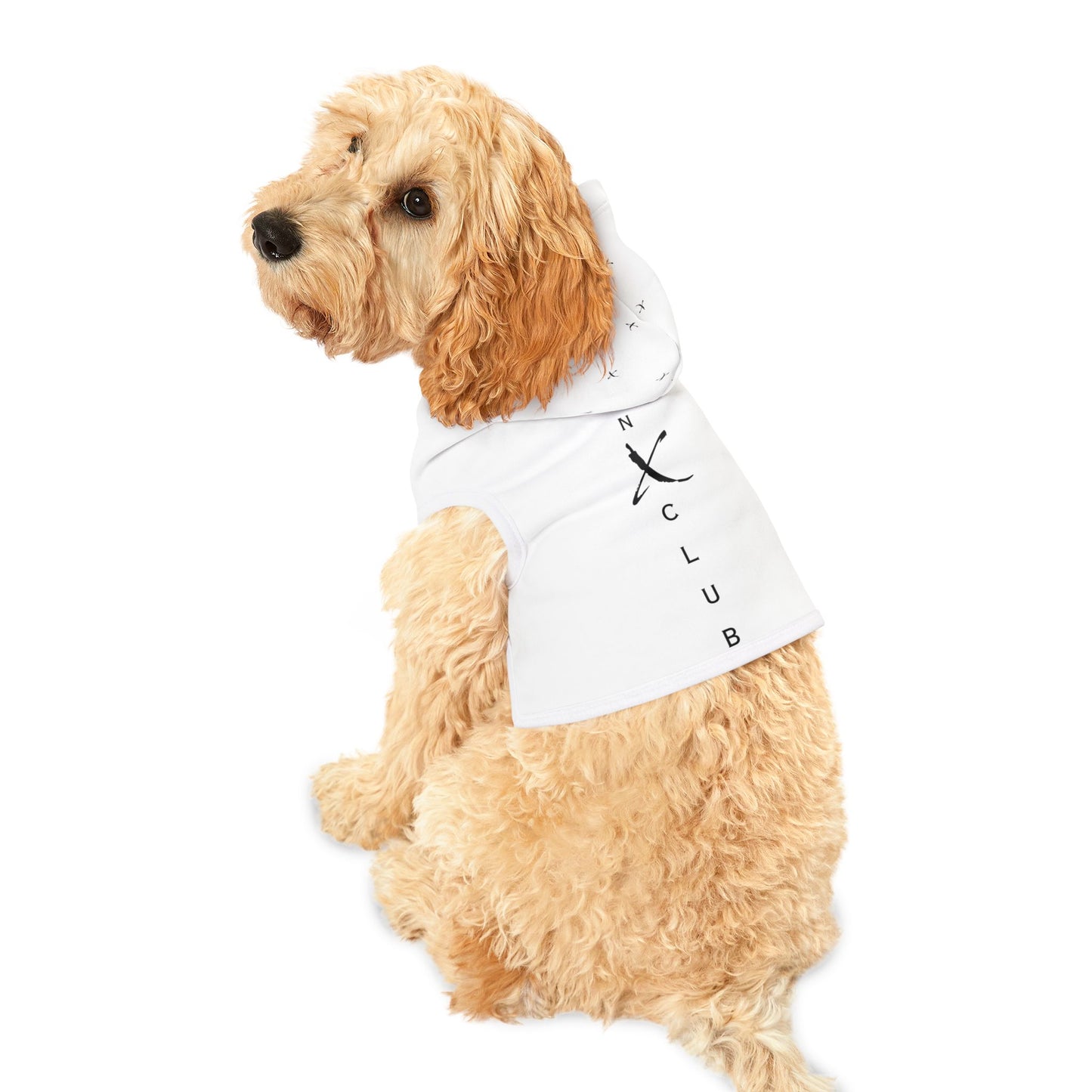 Legaci X Stylish Pet Hoodie - RUN X CLUB Design for Active Pets