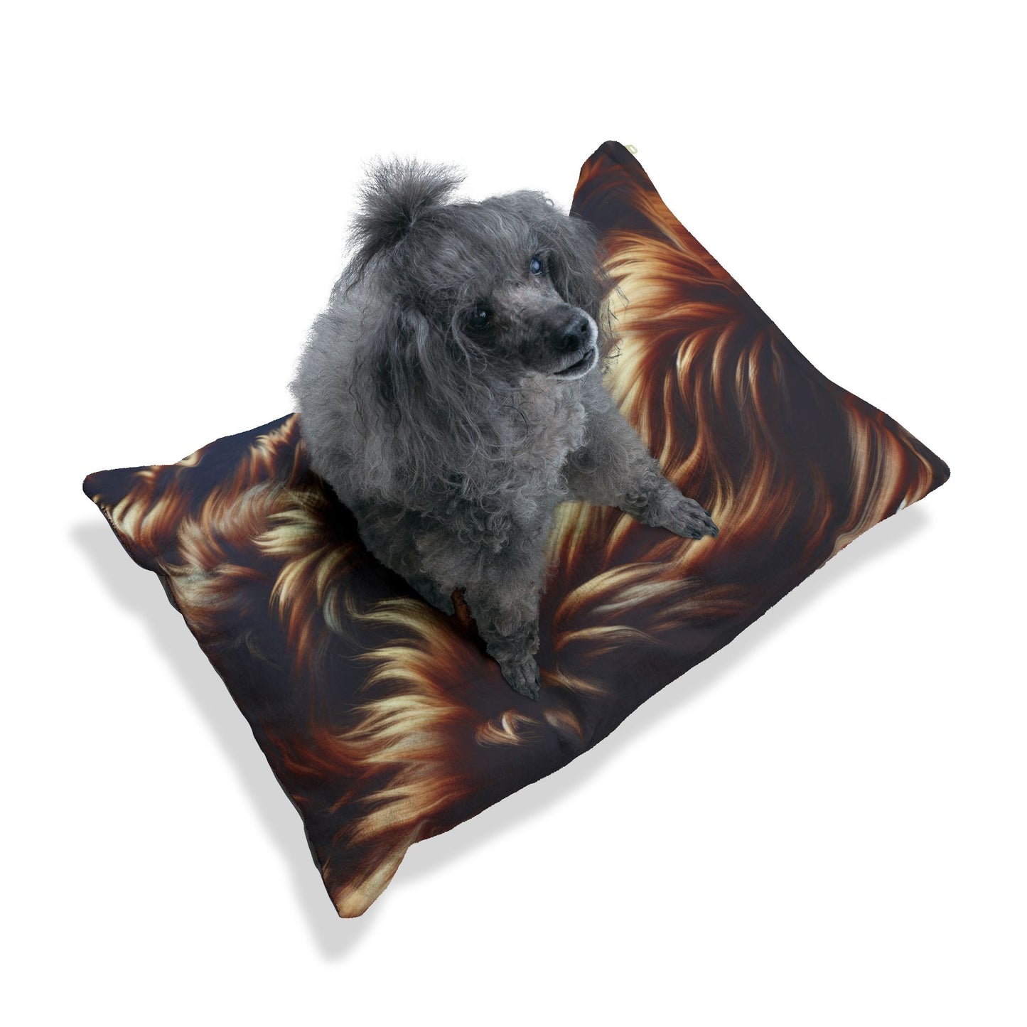 Legaci X Luxurious Pet Bed - Perfect for Stylish Pets and Home Decor